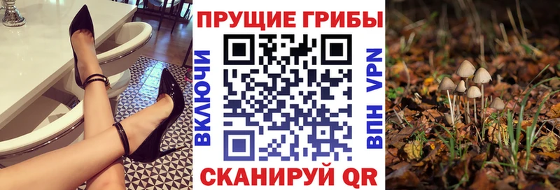 купить закладку  Невинномысск  Псилоцибиновые грибы Psilocybine cubensis 